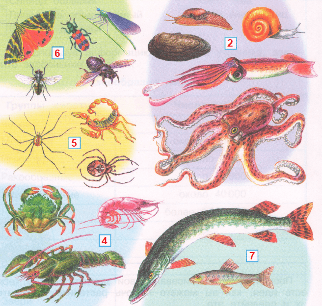 Решение рисунок 1